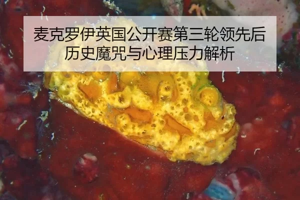 麦克罗伊英国公开赛第三轮领先后 历史魔咒与心理压力解析